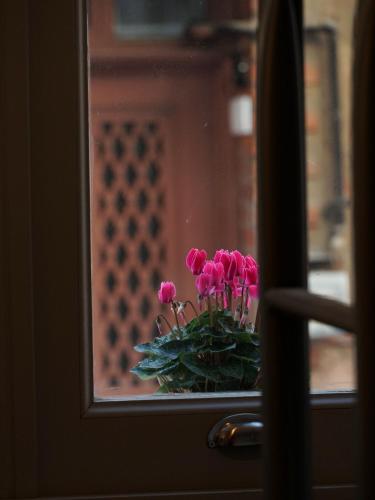 a vase of pink flowers sitting in a window at Tilas - Rooms in 19th Century Wooden Townhouse,Kadikoy in Istanbul