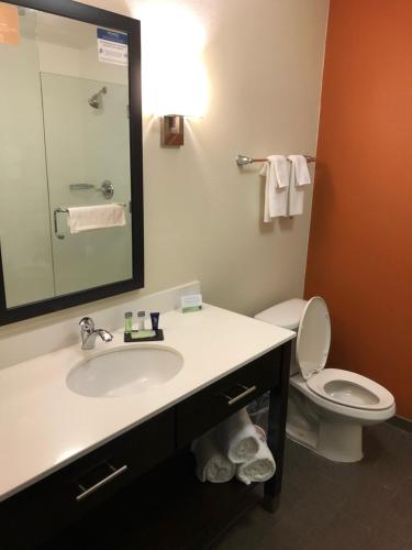 Koupelna v ubytování Sleep Inn Cartersville