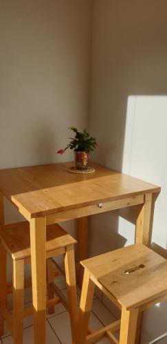 a wooden table with a potted plant on top of it at Petit week end dans la vallée in Breitenbach-Haut-Rhin