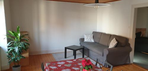 a living room with a couch and a table at Petit week end dans la vallée in Breitenbach-Haut-Rhin