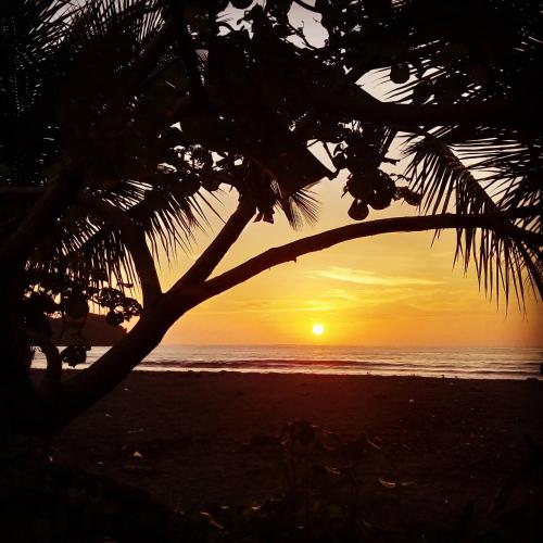 a sunset on the beach with a palm tree at Cabaña Villa Sofi in Nuquí