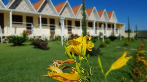 a yellow flower in front of a house at Pousada Canto dos Canários in Socorro