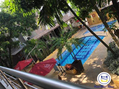 an overhead view of a swimming pool with palm trees at Hotel Único Plaza in Villavicencio