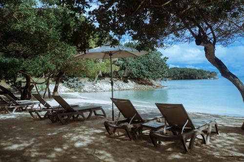 a beach area with chairs and umbrellas at Gente De Mar Resort in Isla Grande