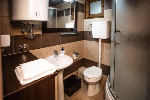 a small bathroom with a sink and a toilet at Rzav, ti i ja. in Arilje