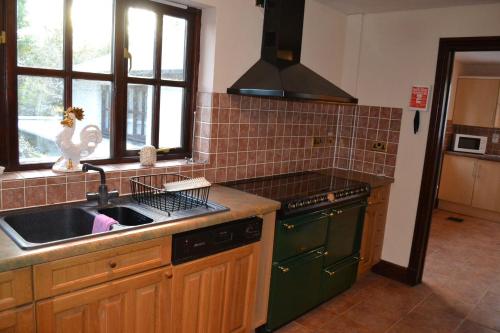 a kitchen with a sink and a stove at Old Stone Cottage in Llandysul