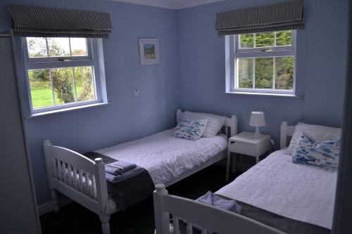 a bedroom with two twin beds and two windows at Old Stone Cottage in Llandysul