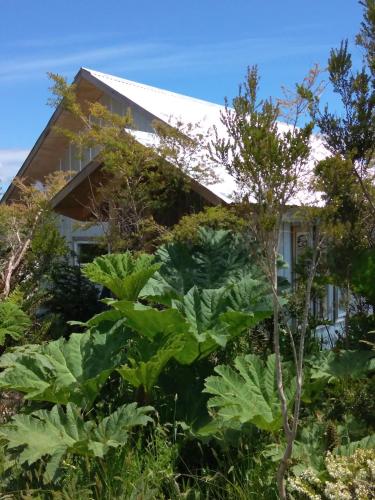 a house surrounded by plants and trees at Fío Fío Patagonia in Chaitén