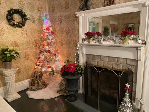 a living room with a christmas tree and a fireplace at LOJ BNB in Morley