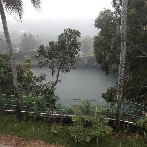 a view of a lake in the middle of a forest at AMARA AYURVEDA RETREAT- Overlooking Evergreen Western Ghats an ecologically sustainable living space in Kovalam in Kovalam