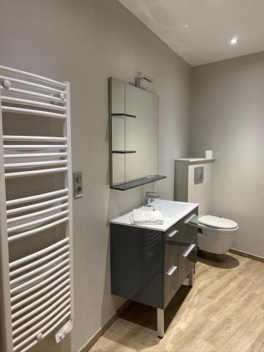 a bathroom with a sink and a toilet at Logis du Champ De Mars in Puy-Saint-Martin