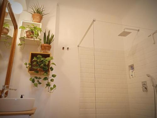 a bathroom with plants on the wall and a sink at Good mornings apartment in Cluj-Napoca