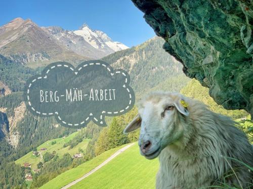 a sheep standing next to a mountain with a cloud at Ferienhof Oberer Gollmitzer in Heiligenblut