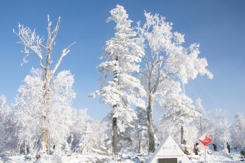a tree covered in snow next to a stop sign at Holiday Inn Jilin Beidahu by IHG in Jilin