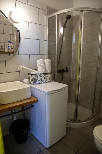 un bagno con doccia, WC e lavandino di Agave Paradise a Puerto de la Cruz