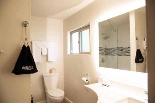 uma casa de banho com um WC, um lavatório e um espelho. em Sterling Inn em Santa Clara