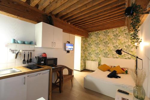 Charming Studio Centre Ville De Lyon