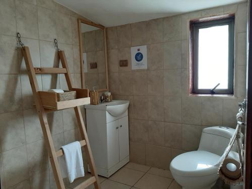 a bathroom with a toilet and a sink at Hotel Tehuelche Natura in Coihaique