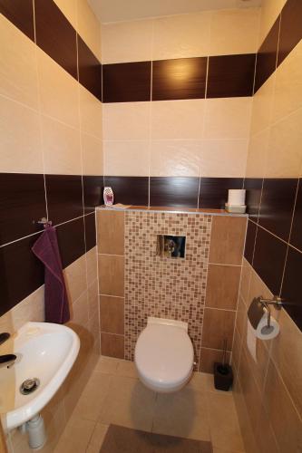 a bathroom with a toilet and a sink at Apartman Baska in Veľký Slavkov