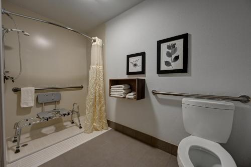 W łazience znajduje się prysznic i toaleta. w obiekcie Country Inn & Suites by Radisson, Pierre, SD w mieście Pierre