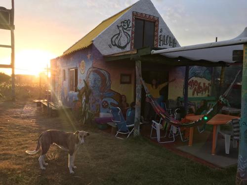 a dog standing in front of a building with graffiti at Ajo Aloha Hostel in Cabo Polonio