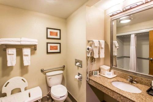 a bathroom with a toilet and a sink and a mirror at Comfort Inn & Suites Cookeville in Cookeville