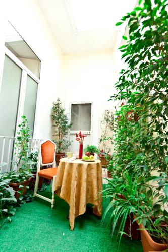 B&B MediNaples