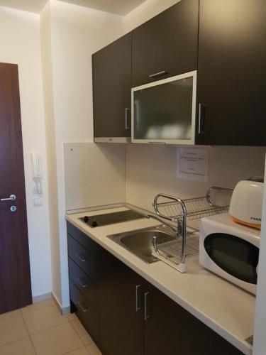 a kitchen with a sink and a microwave at Borovets Gardens Apartments TMF in Borovets