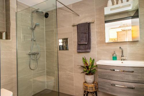 a bathroom with a glass shower and a sink at Willem de Zwijgerlaan Luxury Ark in Amsterdam