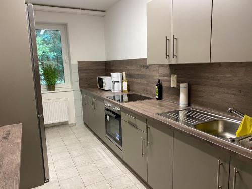 a kitchen with a sink and a counter top at Fitters' accommodation near Dresden - comfortable beds, only men, free WLAN & parking spaces, also for trucks in Radeberg