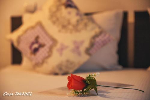 a red rose sitting on top of a bed at Casa Daniel in Bran