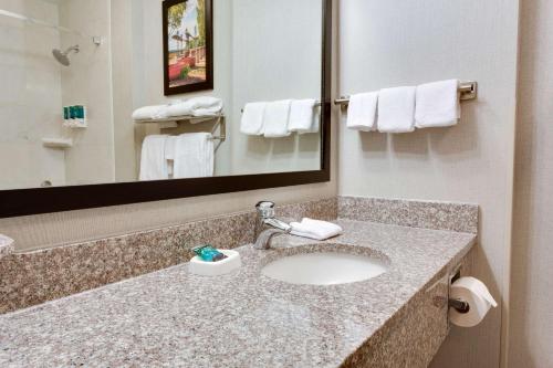 米德爾敦的住宿－米德爾敦富蘭克林德魯酒店及套房，一间带水槽和镜子的浴室