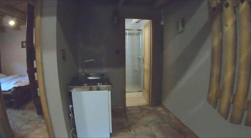 a bathroom with a sink and a shower in a room at Apartman Zelengora Dolina mira in Pale