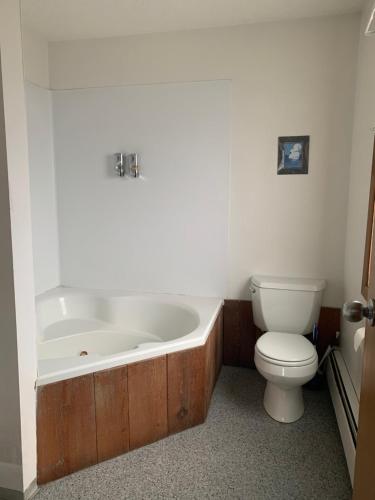 a bathroom with a bath tub and a toilet at Marina Motel in Seward