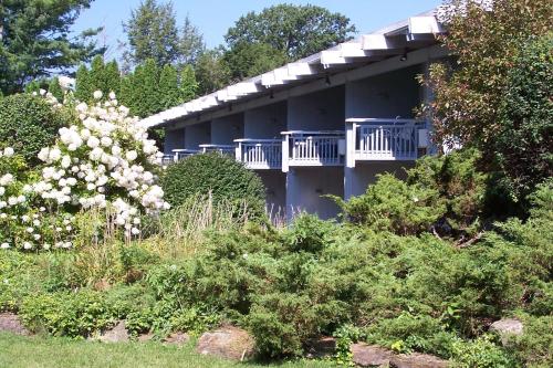 班寧頓的住宿－天堂汽車旅館，花园中白色花的建筑