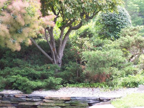 a garden with a tree and a stone wall at Paradise Inn in Bennington