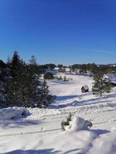 a snow covered field with a house in the distance at vila Borova glava in Zlatibor