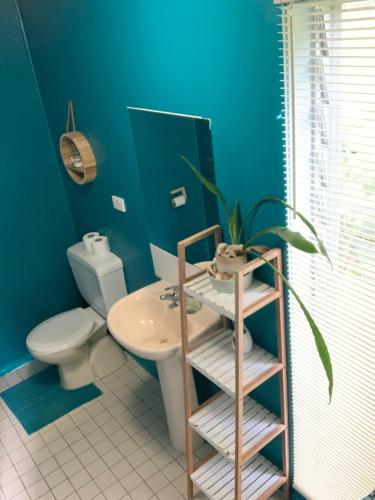 a blue bathroom with a toilet and a sink at SEA-esta in Nelly Bay