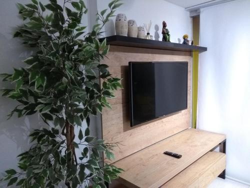 a flat screen tv on a wooden stand with a plant at Gravatá Winterville Residence in Gravatá