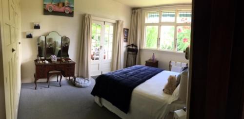 um quarto com uma cama, um espelho e uma mesa em Hewling's Manor em Geraldine