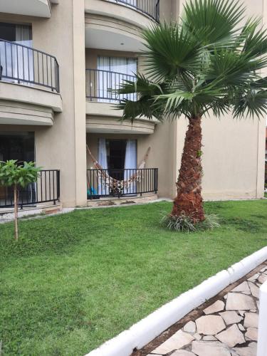 a palm tree in a yard in front of a building at Flat Quartier Aldeia das Águas in Barra do Piraí