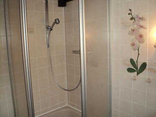 a shower with a shower head in a bathroom at Ferienwohnung Teddy in Siegsdorf