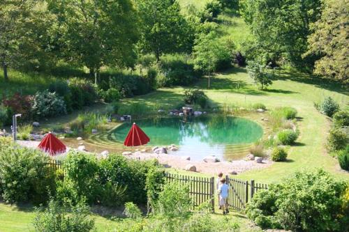 a small pond in a garden with people standing near a fence at Maison conviviale à Saint-Cybranet avec piscine partagée in Saint-Cybranet