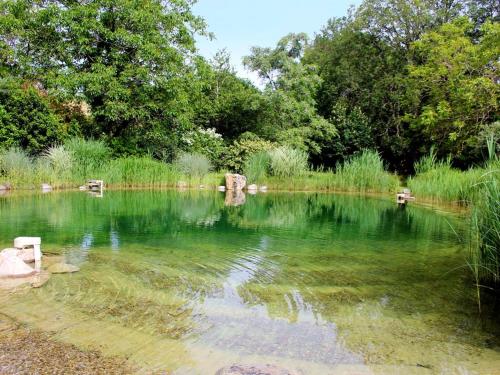 a pond of green water with trees in the background at Maison conviviale à Saint-Cybranet avec piscine partagée in Saint-Cybranet