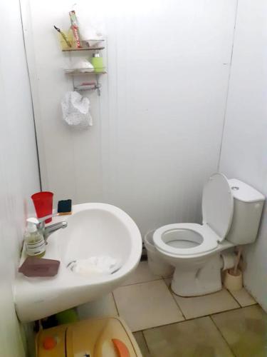 ein Bad mit einem WC und einem Waschbecken in der Unterkunft Maison d'une chambre avec jardin amenage et wifi a Petit Bourg in Petit-Bourg