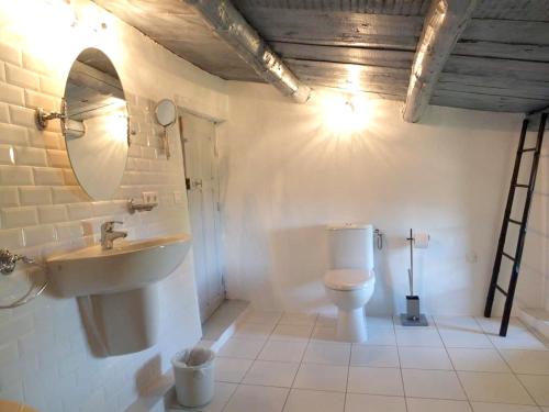 FelicetoにあるAppartement de 2 chambres avec jardin clos et wifi a Felicetoのバスルーム(トイレ、洗面台、鏡付)
