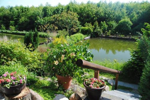 a garden with a pond and two pots of flowers at Hotel Ruhekrug in Schleswig