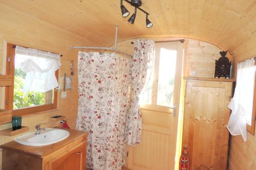 une salle de bain avec un lavabo et un rideau de douche dans l'établissement Maison charmante à Modène avec piscine privée, à Modène