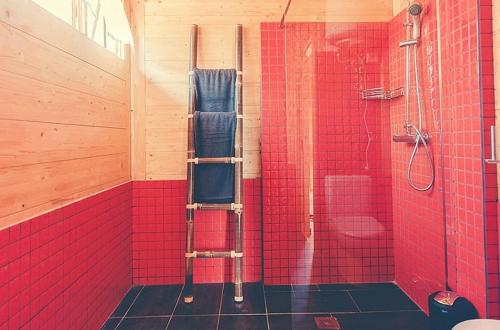 a bathroom with red tiles and a shower with a ladder at Charming house in Cañamero with pool and mountain view in Cañamero