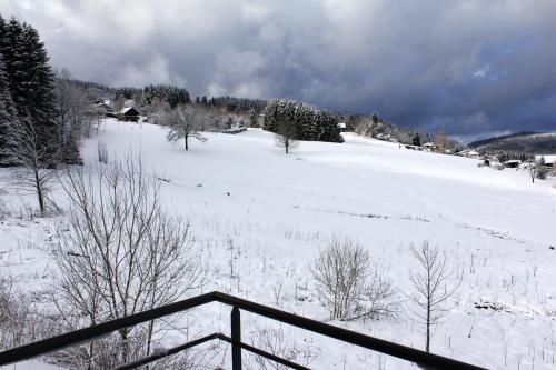a snow covered field with trees and a fence at Appartement accueillant à Xonrupt-Longemer 70 m² avec jardin privatif in Xonrupt-Longemer